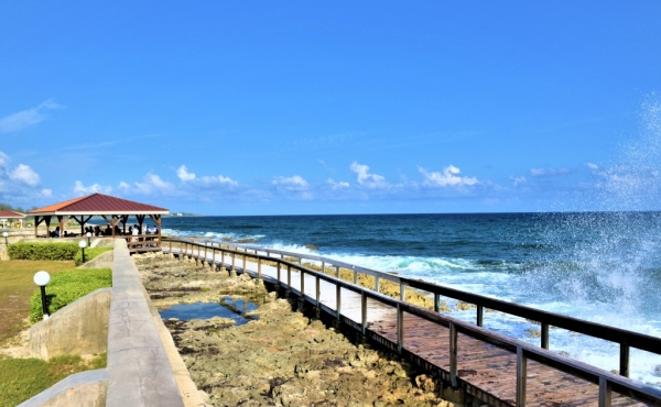 original-1557324136-DSC_0092