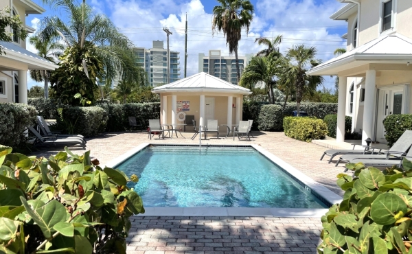 Olivia's Cove 3