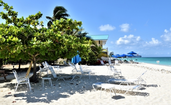 large-1504644729-797x453_SEAGULL_6