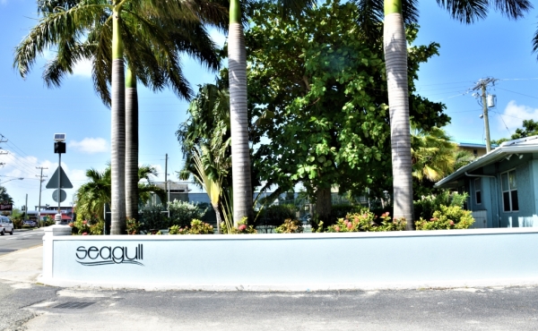 large-2b317f01536ec657f553647872d89cf7