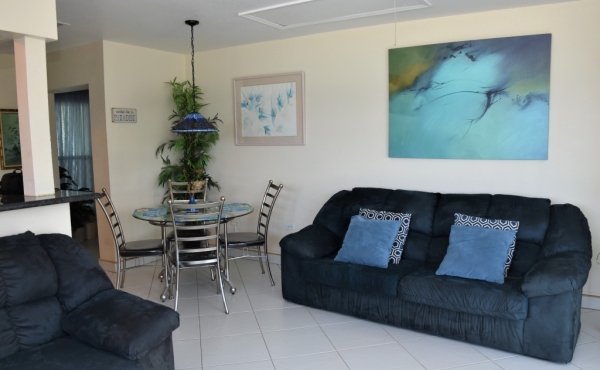 large-1504644726-797x453_SEAGULL_1