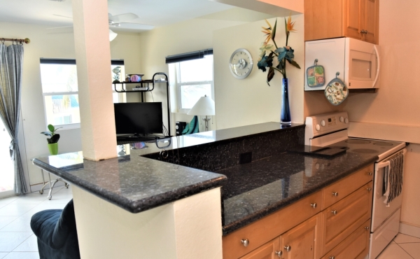 large-1504644729-797x453_SEAGULL_5