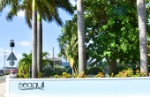 original-1504644726-797x453_SEAGULL_1